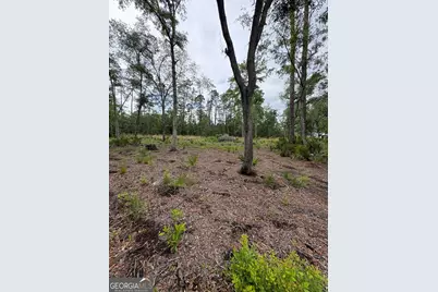 0 Piney Bluff Lot 5 Road, Waverly, GA 31565 - Photo 6