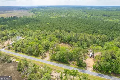 0 Piney Bluff Lot 5 Road, Waverly, GA 31565 - Photo 14
