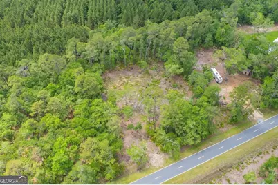 0 Piney Bluff Lot 5 Road, Waverly, GA 31565 - Photo 20