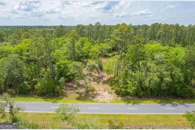 0 Piney Bluff Lot 5 Road, Waverly, GA 31565 - Photo 24
