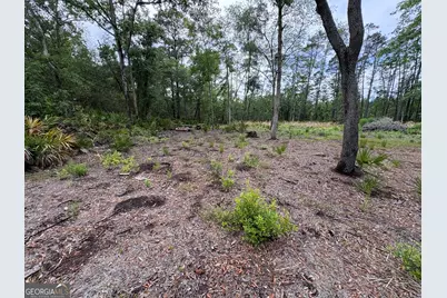 0 Piney Bluff Lot 5 Road, Waverly, GA 31565 - Photo 2