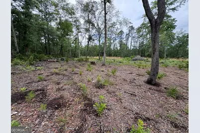 0 Piney Bluff Lot 5 Road, Waverly, GA 31565 - Photo 4