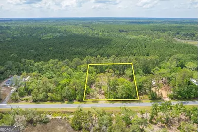 0 Piney Bluff Lot 5 Road, Waverly, GA 31565 - Photo 16