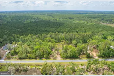0 Piney Bluff Lot 5 Road, Waverly, GA 31565 - Photo 18