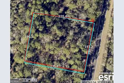 0 Piney Bluff Lot 5 Road, Waverly, GA 31565 - Photo 2
