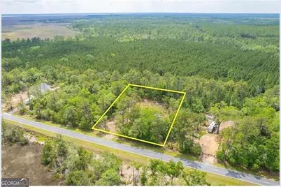 0 Piney Bluff Lot 5 Road, Waverly, GA 31565 - Photo 26