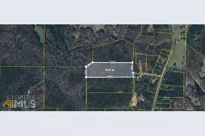 00 Joe Brown Drive, Shiloh, GA 31826 - Photo 1