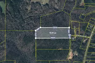 00 Joe Brown Dr, Shiloh, GA 31826 - Photo 1