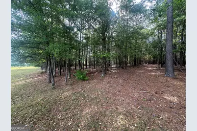 1309 Jarrell Pond Road, Sylvania, GA 30467 - Photo 8
