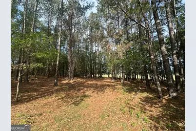 1309 Jarrell Pond Road, Sylvania, GA 30467 - Photo 10
