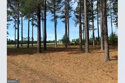 1309 Jarrell Pond Road, Sylvania, GA 30467 - Photo 18