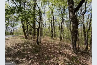 Lot 26 Falcons Nest #26, Jasper, GA 30143 - Photo 2