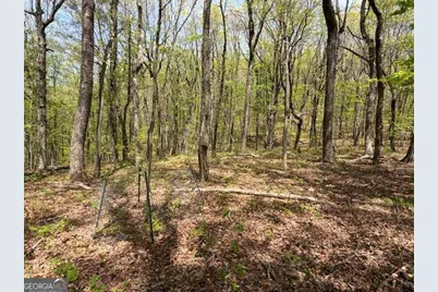 Lot 26 Falcons Nest #26, Jasper, GA 30143 - Photo 8