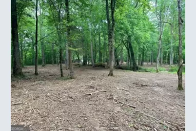 0 Wildlife Lake Road, Summerville, GA 30747 - Photo 6