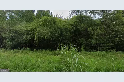 0 Wildlife Lake Road, Summerville, GA 30747 - Photo 2