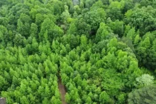 0 Wildlife Lake Rd, Summerville, GA 30747 - Photo 1