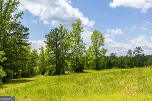 655 White Rd, Thomaston, GA 30286 - Photo 12