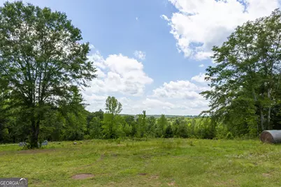 655 White Road, Thomaston, GA 30286 - Photo 14