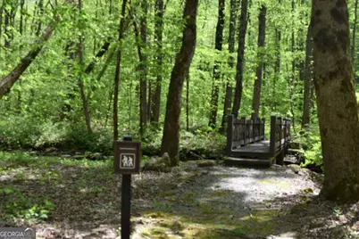 Lot 189 Hawks Nest Court #189, Ellijay, GA 30536 - Photo 10