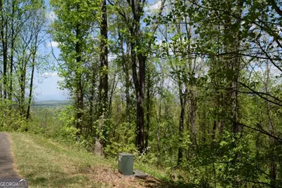 Lot 189 Hawks Nest Court #189, Ellijay, GA 30536 - Photo 6
