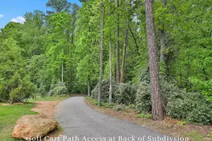 1150 Blair Ln, Peachtree City, GA 30269 - Photo 70
