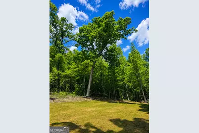 437 Hall, Franklin, GA 30217 - Photo 16