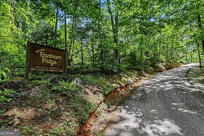 4 Acres Dancing Bear Trail, Clayton, GA 30525 - Photo 2