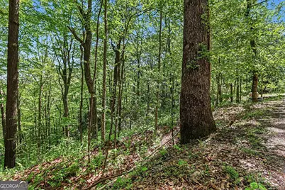 4 Acres Dancing Bear Trail, Clayton, GA 30525 - Photo 18