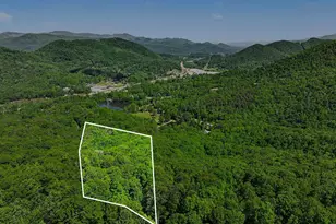 4 Acres Dancing Bear Trail, Clayton, GA 30525 - Photo 1
