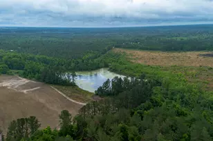2879 Harden Chapel, Lyons, GA 30436 - Photo 24