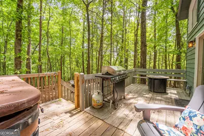 254 Star Lake Lane, Sautee Nacoochee, GA 30571 - Photo 42