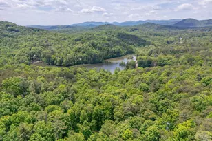 254 Star Lake Ln, Sautee Nacoochee, GA 30571 - Photo 4