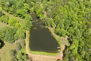 5134 Hwy 17, Clarkesville, GA 30523 - Photo 70