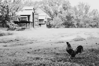 850 Preacher Campbell Rd, Clarkesville, GA 30523 - Photo 48