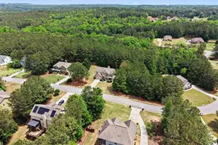 207 George Wynn Rd, Palmetto, GA 30268 - Photo 8