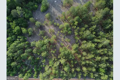 3570 William Dennis Road, Cadwell, GA 31009 - Photo 6