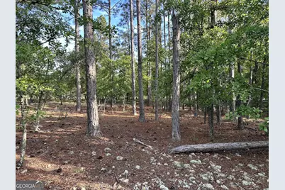 3570 William Dennis Road, Cadwell, GA 31009 - Photo 16