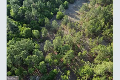 3570 William Dennis Road, Cadwell, GA 31009 - Photo 8