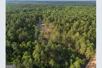 3570 William Dennis Road, Cadwell, GA 31009 - Photo 1