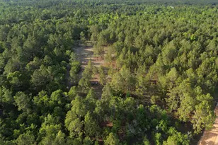3570 William Dennis Rd, Cadwell, GA 31009 - Photo 1