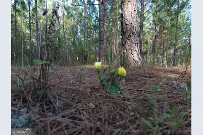 3570 William Dennis Road, Cadwell, GA 31009 - Photo 18