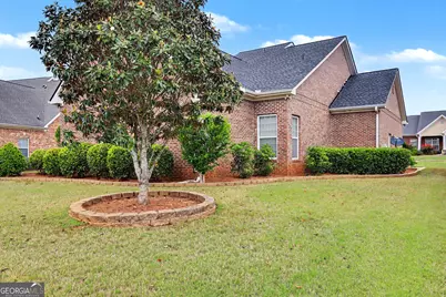 3126 Alhambra Circle, Hampton, GA 30228 - Photo 74