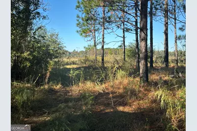 0 Buck Creek Road, Sylvania, GA 30467 - Photo 6