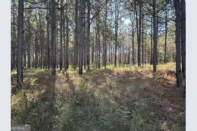 0 Buck Creek Road, Sylvania, GA 30467 - Photo 18