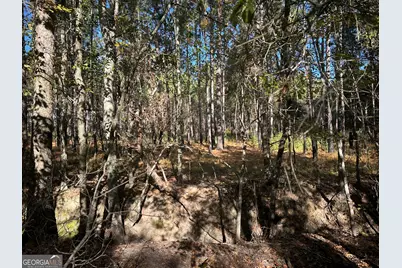 0 Buck Creek Road, Sylvania, GA 30467 - Photo 8
