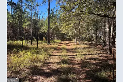 0 Buck Creek Road, Sylvania, GA 30467 - Photo 1