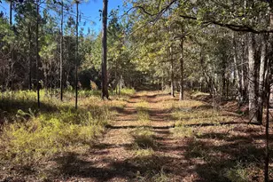 0 Buck Creek Rd, Sylvania, GA 30467 - Photo 1