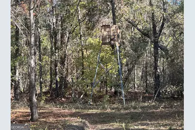 0 Buck Creek Road, Sylvania, GA 30467 - Photo 12