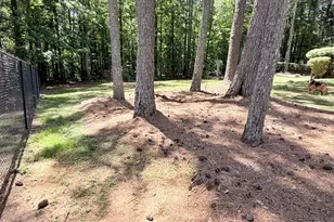 15 Briarwood Ln, Newnan, GA 30265 - Photo 20