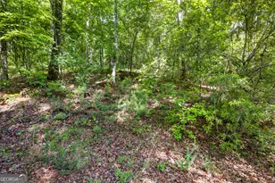 721 Rausch Rdg, Chattahoochee Hills, GA 30268 - Photo 18